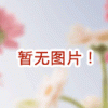 2011第六届广州国际采购博览会——电子、家电、灯饰广交会同期展